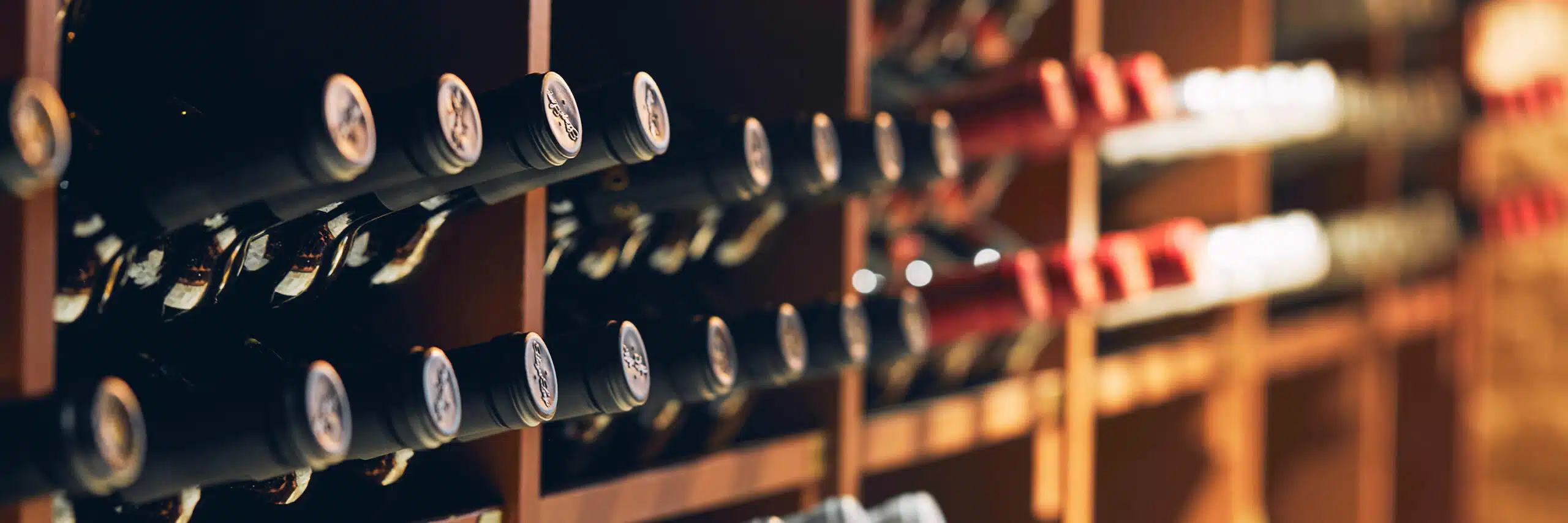Wine bottles in cellar